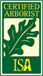 logo_m_1 logo_m_1